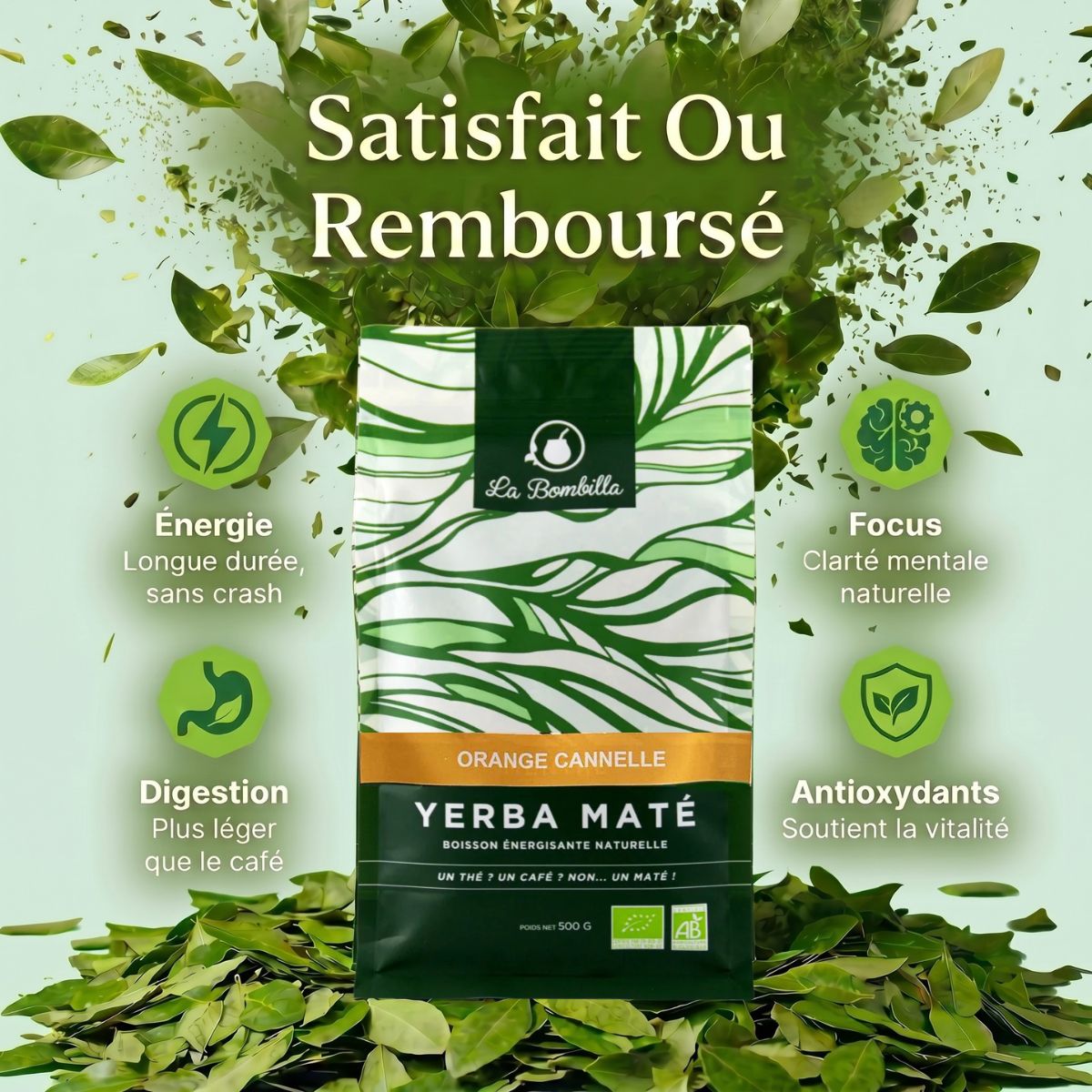 Maté Orange Cannelle Bio